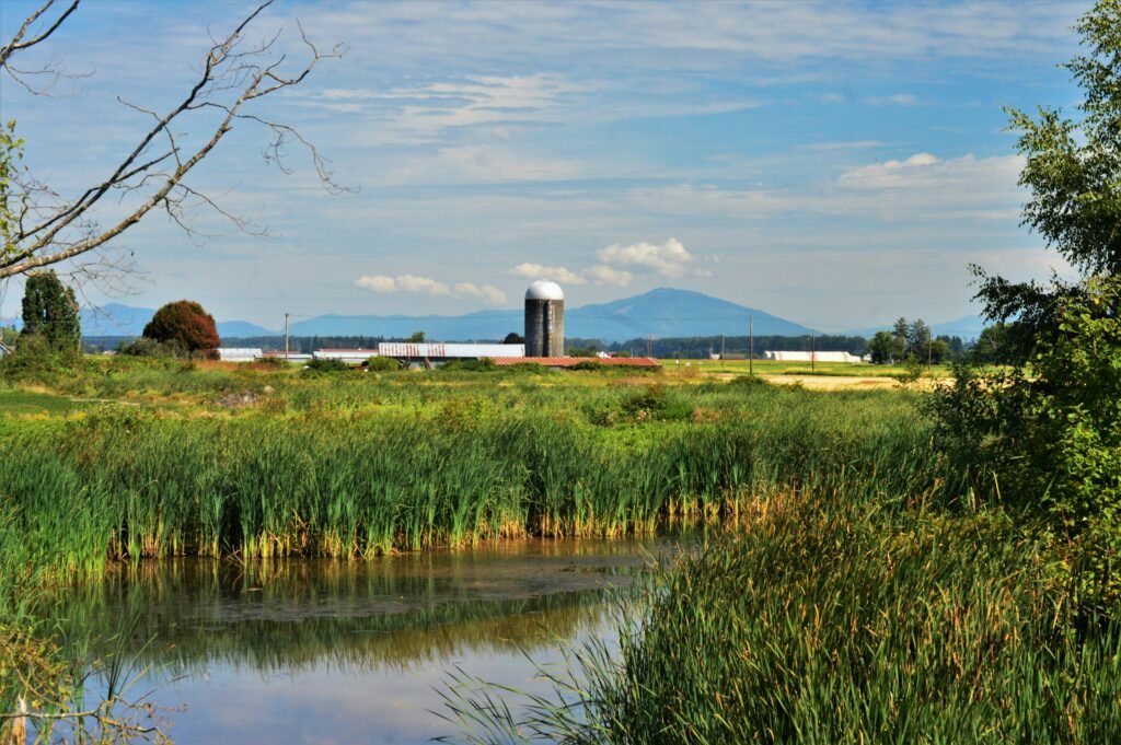 Best places to see wildlife in Washington State