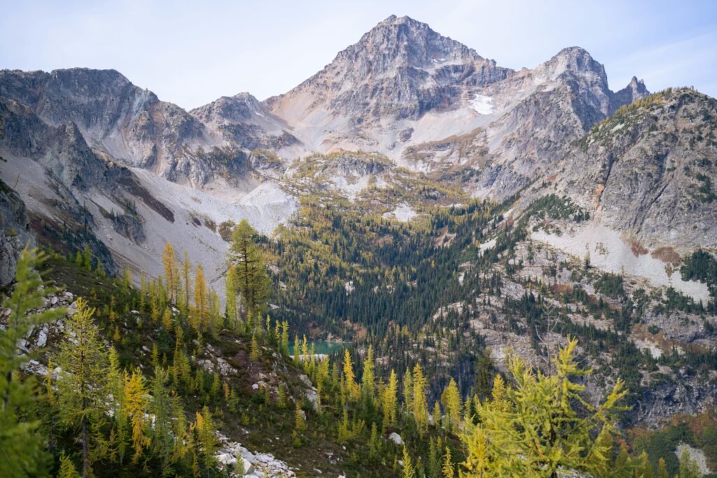 Best places to see wildlife in Washington State