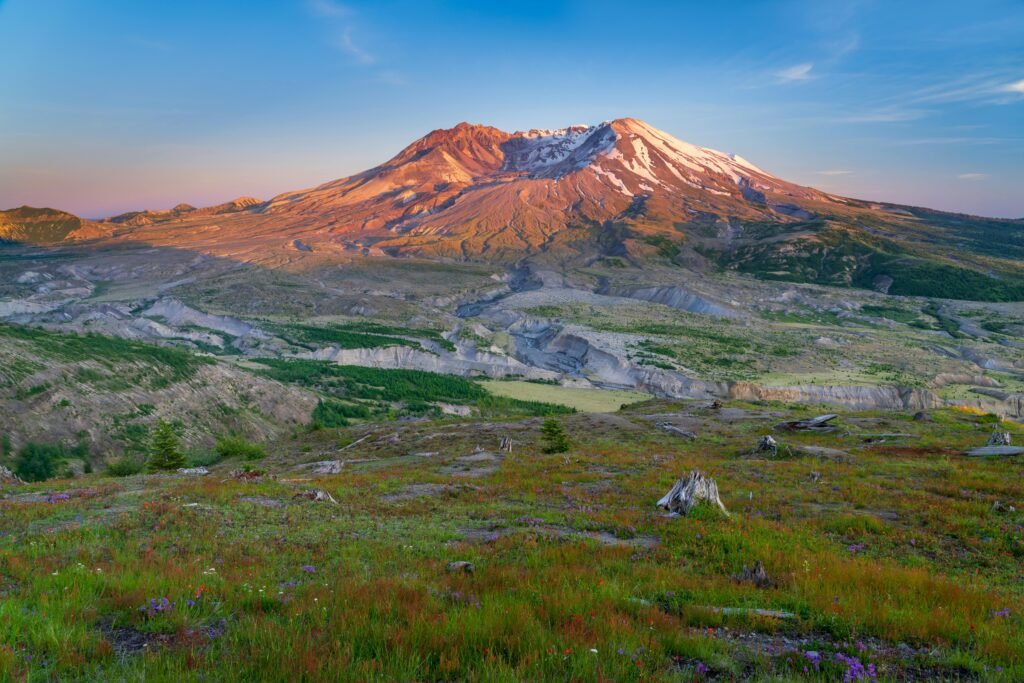 Best places to see wildlife in Washington State