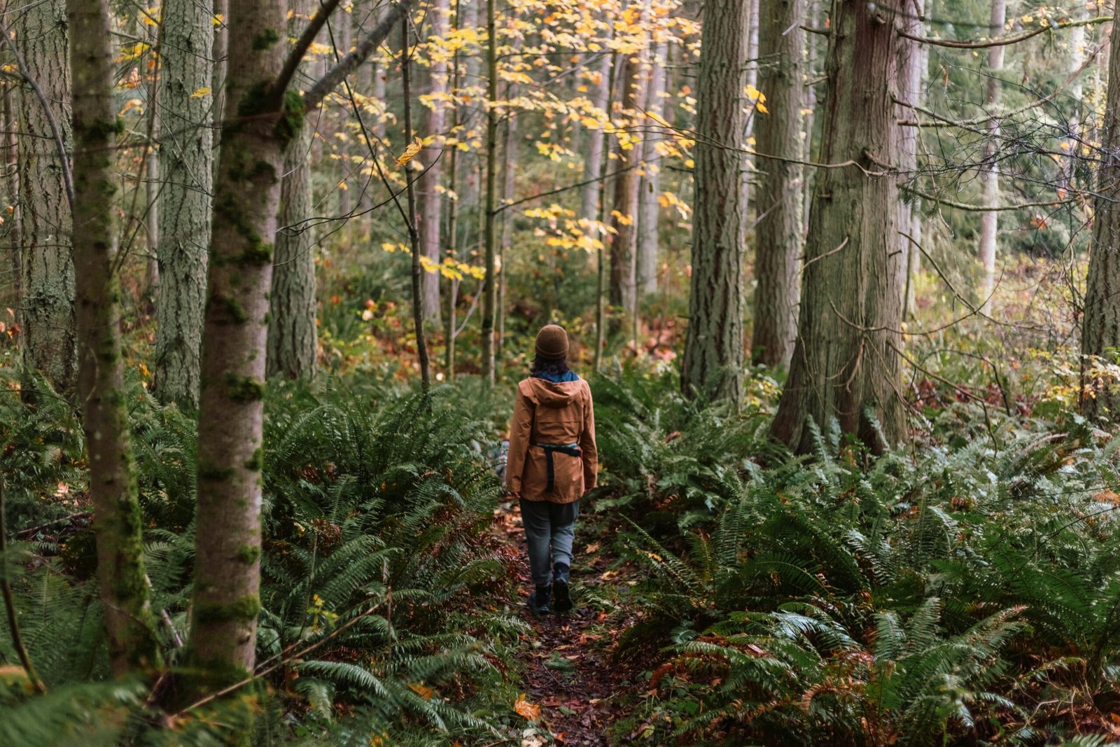 Best places to see wildlife in Washington State