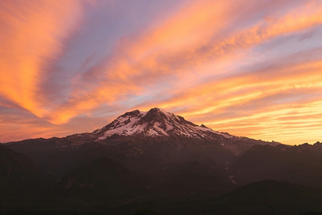 Best places to see wildlife in Washington State