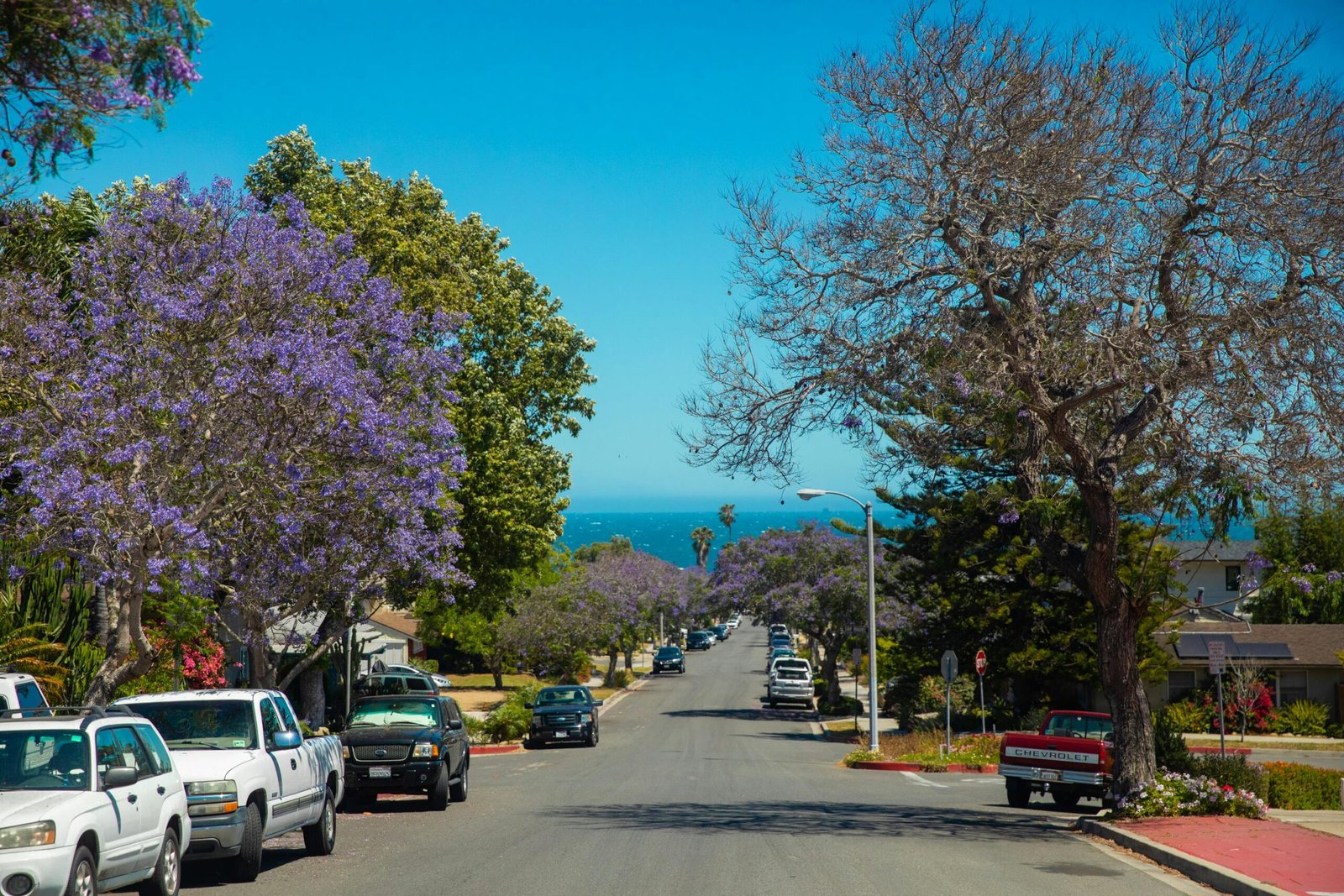 Spring Break Destinations in the US