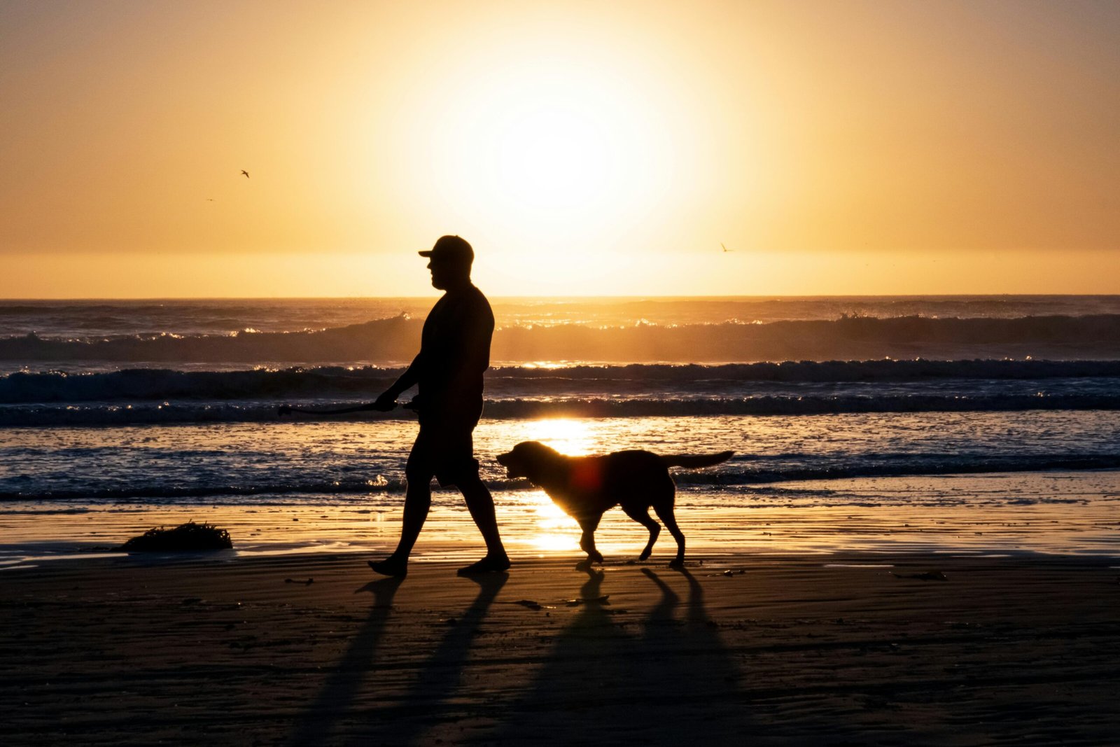 Best Beaches in the USA for Summer 2025