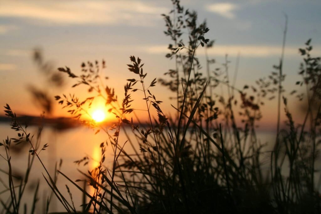 Best Sunset Spot at White Rock Lake Dallas TX