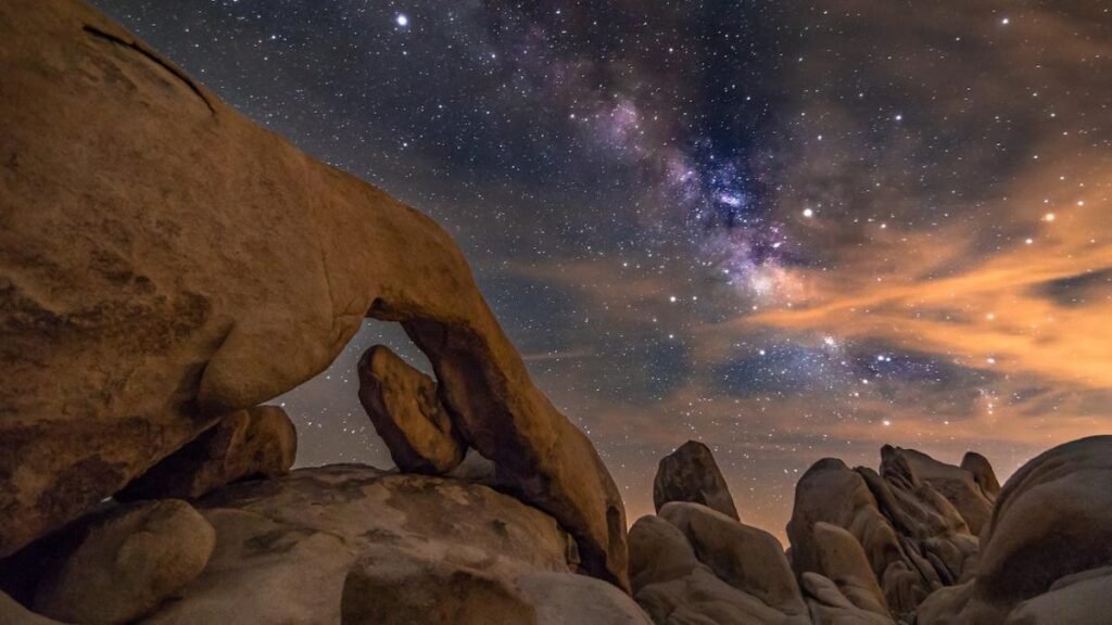 5 Breathtaking Spots for Desert Flora and Stargazing in Joshua Tree