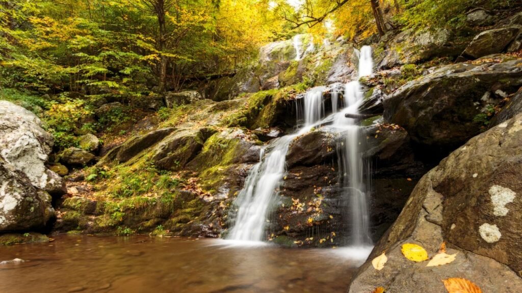 Fall foliage Shenandoah VA