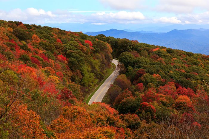 Best winter drives in NC
