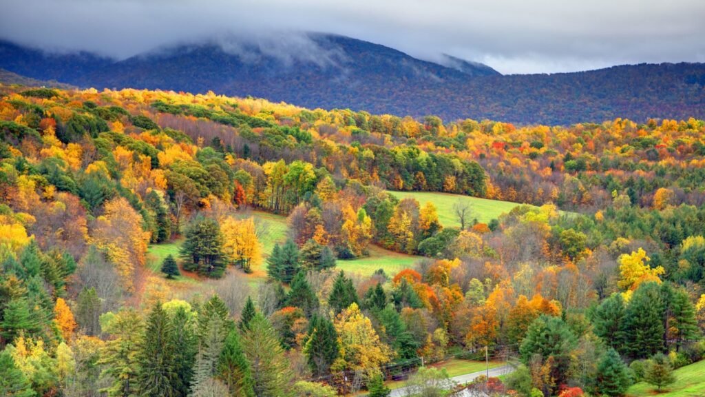 Senior-friendly cultural itineraries