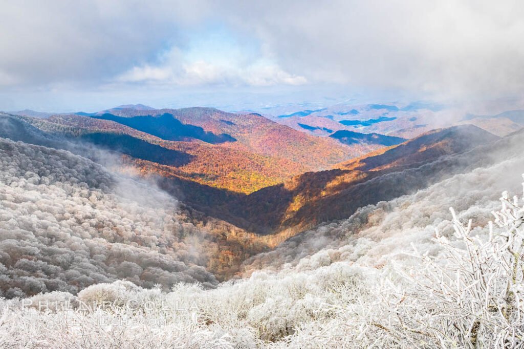 The Top 7 Best Winter Drives in NC That Will Amaze You