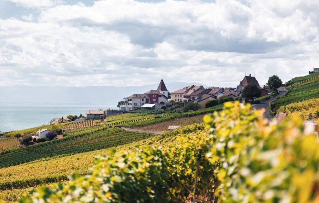 Winery Bike Tour in New Hope PA: Scenic Rides & Sips