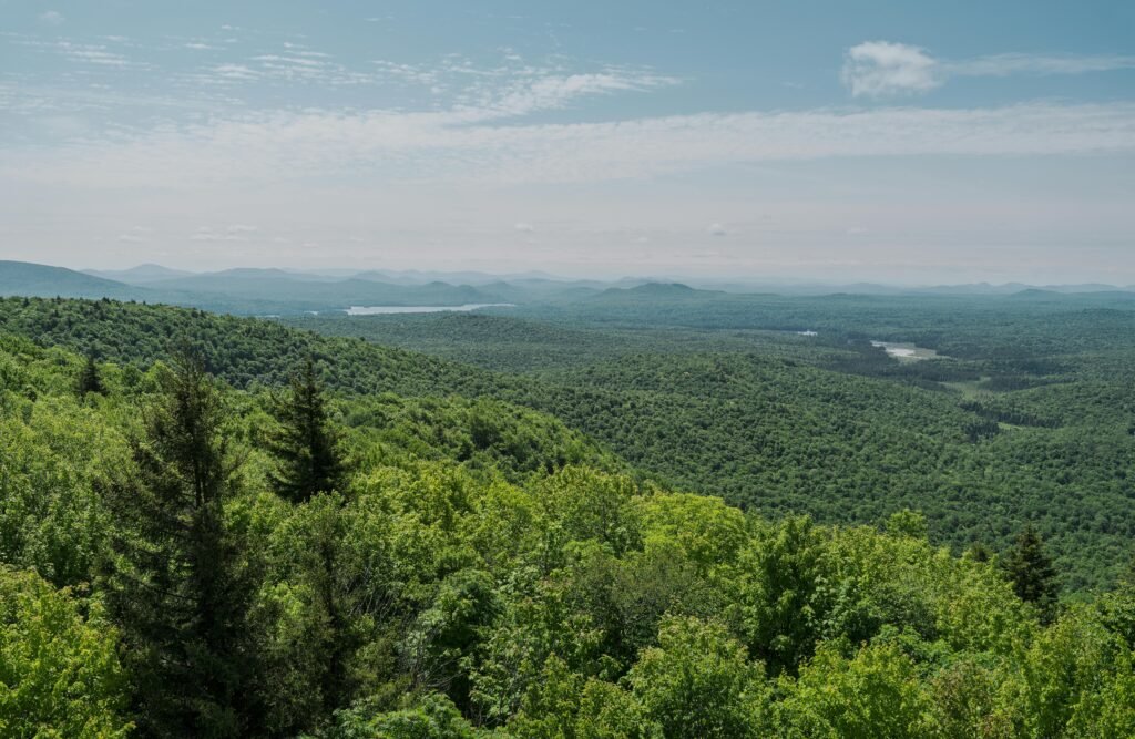Adirondack Rail Trail bike-packing